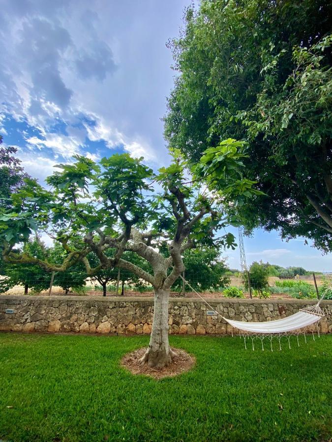 Finca Amer Sa Pobla Exterior photo